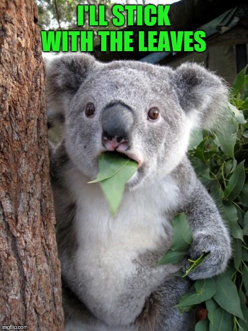 Surprised Koala Meme | I'LL STICK WITH THE LEAVES | image tagged in memes,surprised koala | made w/ Imgflip meme maker