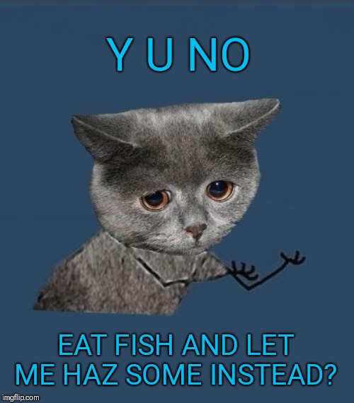 Y u no sad cat | Y U NO EAT FISH AND LET ME HAZ SOME INSTEAD? | image tagged in y u no sad cat | made w/ Imgflip meme maker