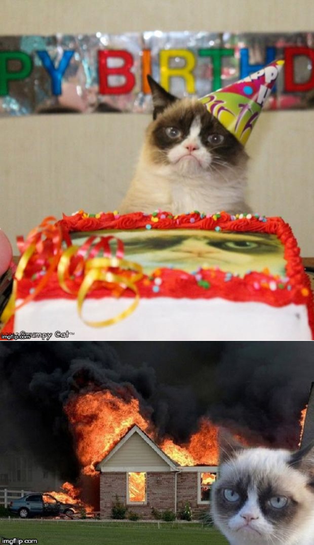 Grumpy cat consequences Blank Meme Template