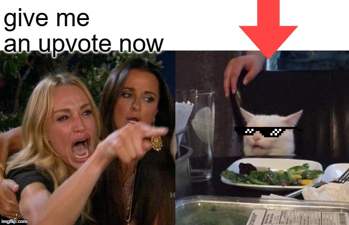 downvoted, now deal with it | give me an upvote now | image tagged in memes,woman yelling at cat,begging for upvotes,upvote begging,downvote,downvotes | made w/ Imgflip meme maker