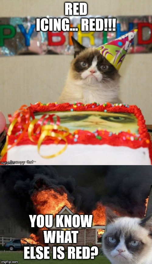 Grumpy Cat only likes one thing that is red | RED ICING... RED!!! YOU KNOW WHAT ELSE IS RED? | image tagged in grumpy cat consequences,grumpy cat,cat,grumpy cat birthday | made w/ Imgflip meme maker