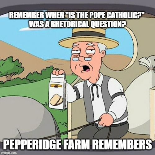 Pepperidge Farm Remembers | REMEMBER WHEN "IS THE POPE CATHOLIC?" 
WAS A RHETORICAL QUESTION? PEPPERIDGE FARM REMEMBERS | image tagged in memes,pepperidge farm remembers | made w/ Imgflip meme maker
