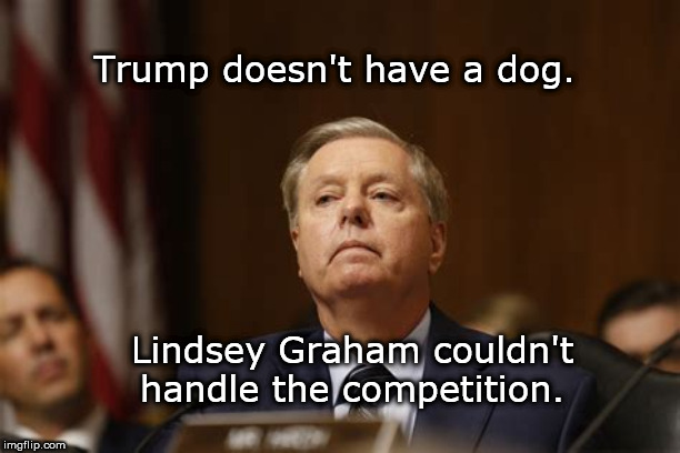 Trump doesn't have a dog. Lindsey Graham couldn't handle the competition. | image tagged in lindsey graham,trump's pet | made w/ Imgflip meme maker