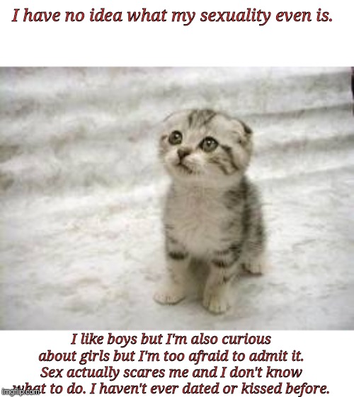 Sad Cat Meme | I have no idea what my sexuality even is. I like boys but I'm also curious about girls but I'm too afraid to admit it. Sex actually scares me and I don't know what to do. I haven't ever dated or kissed before. | image tagged in memes,sad cat | made w/ Imgflip meme maker