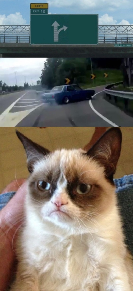 High Quality Grumpy cat your point Blank Meme Template