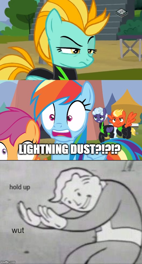 LIGHTNING DUST?!?!? wut | image tagged in fallout hold up | made w/ Imgflip meme maker