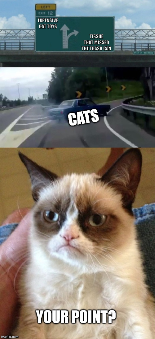 Wasting money on my cat | TISSUE THAT MISSED THE TRASH CAN; EXPENSIVE CAT TOYS; CATS; YOUR POINT? | image tagged in grumpy cat your point,grumpy cat,left exit 12 off ramp,memes | made w/ Imgflip meme maker