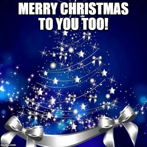Merry Christmas  | MERRY CHRISTMAS TO YOU TOO! | image tagged in merry christmas | made w/ Imgflip meme maker