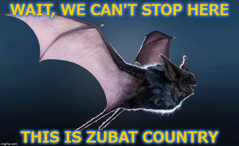 WAIT, WE CAN'T STOP HERE; THIS IS ZUBAT COUNTRY | image tagged in animals,pokemon,zubat,bat country,fear and loathing in las vegas,annoying | made w/ Imgflip meme maker