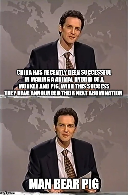 WEEKEND UPDATE WITH NORM | CHINA HAS RECENTLY BEEN SUCCESSFUL IN MAKING A ANIMAL HYBRID OF A MONKEY AND PIG, WITH THIS SUCCESS THEY HAVE ANNOUNCED THEIR NEXT ABOMINATION; MAN BEAR PIG | image tagged in weekend update with norm,made in china,hybrid,man bear pig | made w/ Imgflip meme maker