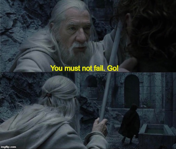 You must not fail. Go! | You must not fail. Go! | image tagged in gandalf,lord of the rings,pipin,minas tirith,run | made w/ Imgflip meme maker