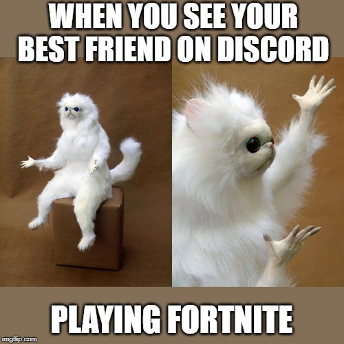 Persian Cat Room Guardian | WHEN YOU SEE YOUR BEST FRIEND ON DISCORD; PLAYING FORTNITE | image tagged in memes,persian cat room guardian | made w/ Imgflip meme maker
