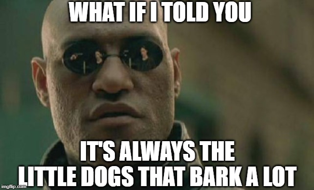 Why the internet is flooded with yappy Republicans lol | WHAT IF I TOLD YOU; IT'S ALWAYS THE LITTLE DOGS THAT BARK A LOT | image tagged in memes,matrix morpheus | made w/ Imgflip meme maker