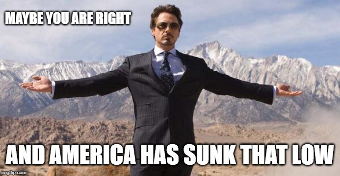 Robert Downey Iron Man | MAYBE YOU ARE RIGHT AND AMERICA HAS SUNK THAT LOW | image tagged in robert downey iron man | made w/ Imgflip meme maker