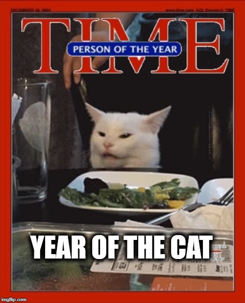  YEAR OF THE CAT | image tagged in time magazine person of the year,woman yelling at cat,greta thunberg,greta thunberg how dare you | made w/ Imgflip meme maker