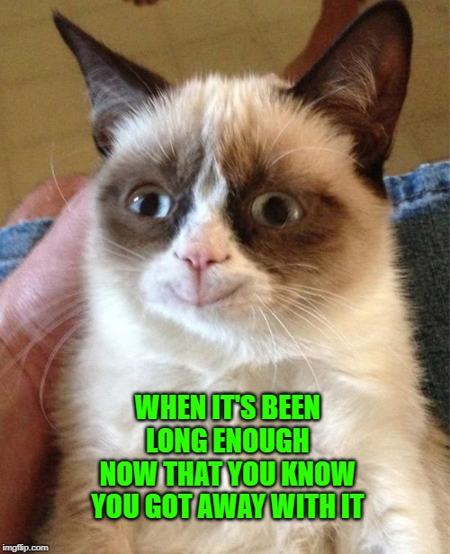 Grumpy Cat Happy Meme | WHEN IT'S BEEN LONG ENOUGH NOW THAT YOU KNOW YOU GOT AWAY WITH IT | image tagged in memes,grumpy cat happy,grumpy cat | made w/ Imgflip meme maker