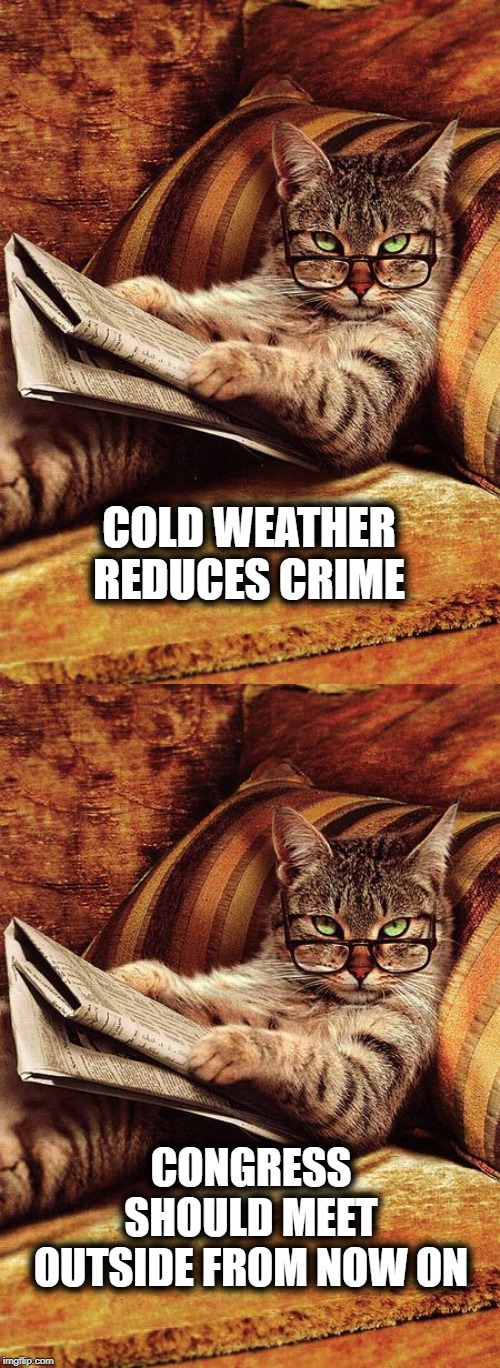 COLD WEATHER REDUCES CRIME; CONGRESS SHOULD MEET OUTSIDE FROM NOW ON | image tagged in cat reading,cold weather,crime,congress | made w/ Imgflip meme maker