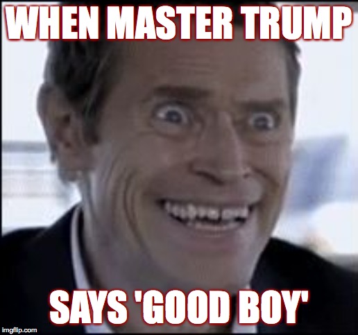 Arrroooo! | WHEN MASTER TRUMP; SAYS 'GOOD BOY' | image tagged in creepy smile,memes,trumpers | made w/ Imgflip meme maker