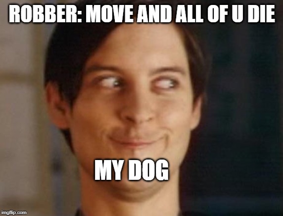 Spiderman Peter Parker Meme | ROBBER: MOVE AND ALL OF U DIE; MY DOG | image tagged in memes,spiderman peter parker | made w/ Imgflip meme maker
