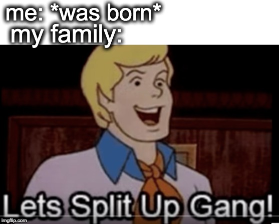 me: *was born*; my family: | image tagged in divorce,memes,funny,scooby doo,oh wow are you actually reading these tags | made w/ Imgflip meme maker