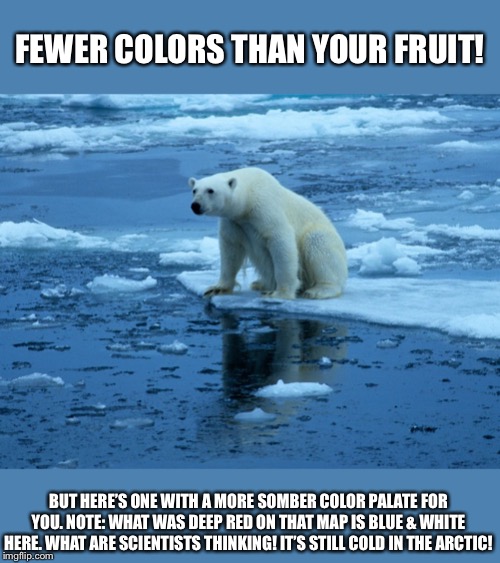 When they aren’t impressed by the color on your global warming map. | FEWER COLORS THAN YOUR FRUIT! BUT HERE’S ONE WITH A MORE SOMBER COLOR PALATE FOR YOU. NOTE: WHAT WAS DEEP RED ON THAT MAP IS BLUE & WHITE HERE. WHAT ARE SCIENTISTS THINKING! IT’S STILL COLD IN THE ARCTIC! | image tagged in global warming bear,global warming,climate change,arctic,polar bear,science | made w/ Imgflip meme maker