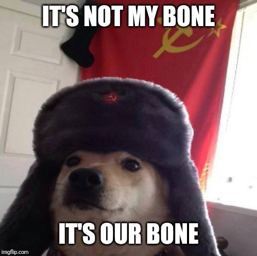 Russian Doge | IT'S NOT MY BONE; IT'S OUR BONE | image tagged in russian doge | made w/ Imgflip meme maker