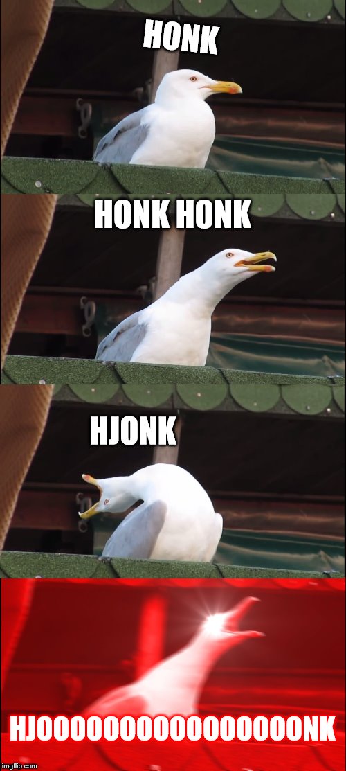 Inhaling Seagull Meme | HONK; HONK HONK; HJONK; HJOOOOOOOOOOOOOOOONK | image tagged in memes,inhaling seagull | made w/ Imgflip meme maker