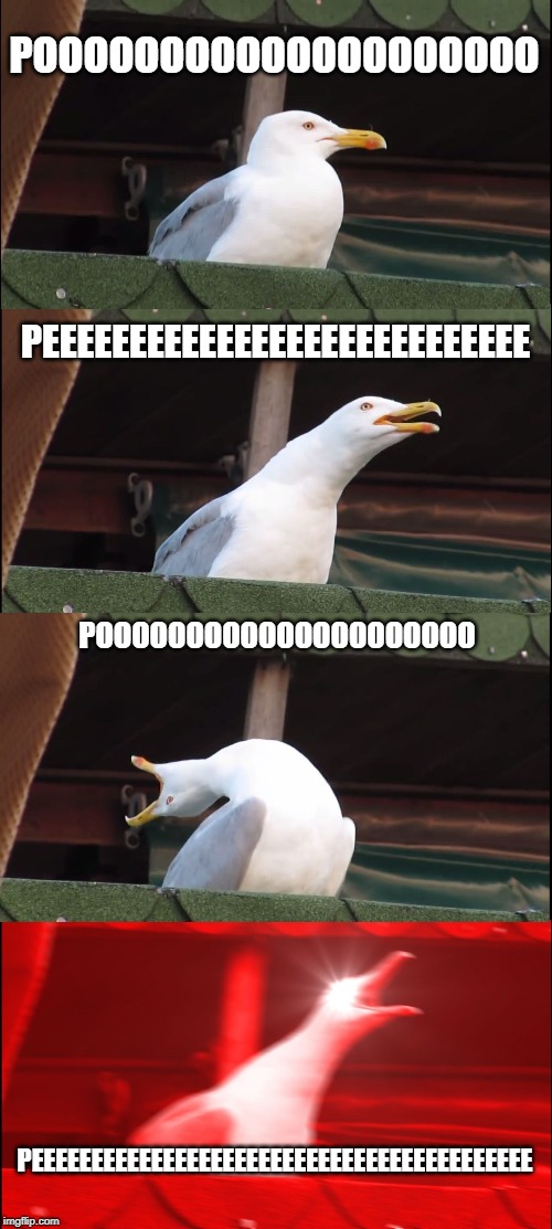 Inhaling Seagull Meme | POOOOOOOOOOOOOOOOOOOO; PEEEEEEEEEEEEEEEEEEEEEEEEEEEE; POOOOOOOOOOOOOOOOOOOOO; PEEEEEEEEEEEEEEEEEEEEEEEEEEEEEEEEEEEEEEEEEE | image tagged in memes,inhaling seagull | made w/ Imgflip meme maker