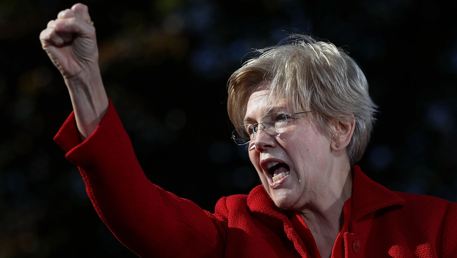 Elizabeth Warren Fist Blank Meme Template