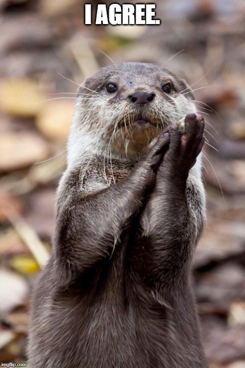 Slow-Clap Otter | I AGREE. | image tagged in slow-clap otter | made w/ Imgflip meme maker