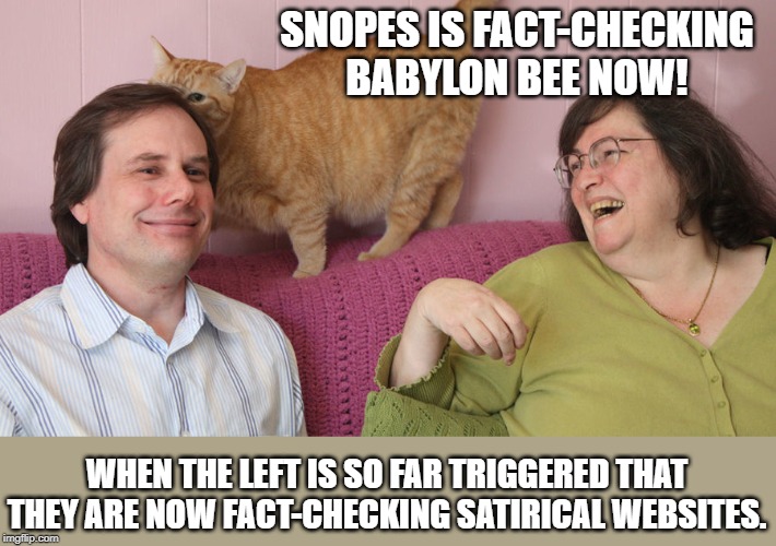 “House Democrats today announced a new plan to ensure Trump wins the White House again in 2020.”--Babylon BeeSnopes: check it! | SNOPES IS FACT-CHECKING BABYLON BEE NOW! WHEN THE LEFT IS SO FAR TRIGGERED THAT THEY ARE NOW FACT-CHECKING SATIRICAL WEBSITES. | image tagged in snopes is fake news,funny,political meme,politics | made w/ Imgflip meme maker