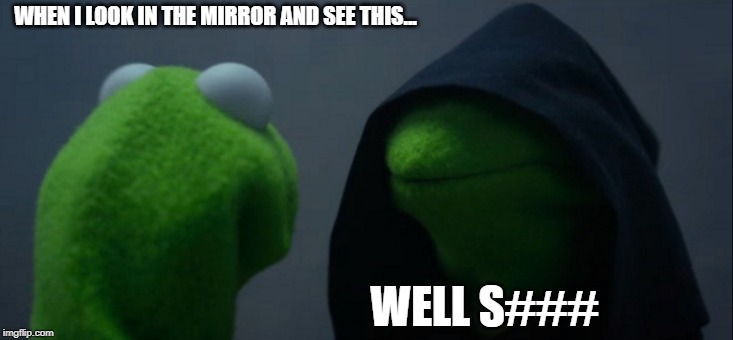Evil Kermit | WHEN I LOOK IN THE MIRROR AND SEE THIS... WELL S### | image tagged in memes,evil kermit | made w/ Imgflip meme maker