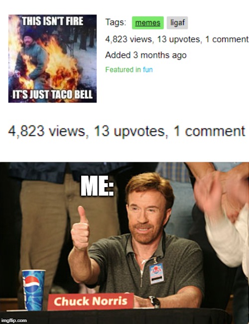 Chuck Norris Approves | ME: | image tagged in memes,chuck norris approves,chuck norris | made w/ Imgflip meme maker