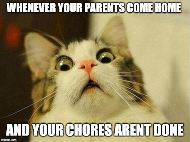 Scared Cat Meme | WHENEVER YOUR PARENTS COME HOME; AND YOUR CHORES ARENT DONE | image tagged in memes,scared cat | made w/ Imgflip meme maker