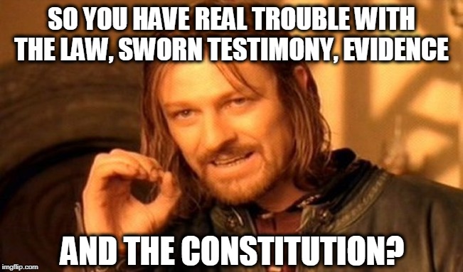One Does Not Simply Meme | SO YOU HAVE REAL TROUBLE WITH THE LAW, SWORN TESTIMONY, EVIDENCE AND THE CONSTITUTION? | image tagged in memes,one does not simply | made w/ Imgflip meme maker