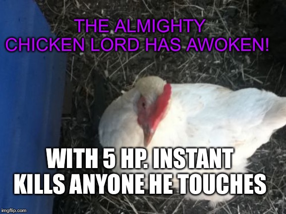 Angry Chicken Boss Meme | THE ALMIGHTY CHICKEN LORD HAS AWOKEN! WITH 5 HP. INSTANT KILLS ANYONE HE TOUCHES | image tagged in memes,angry chicken boss | made w/ Imgflip meme maker