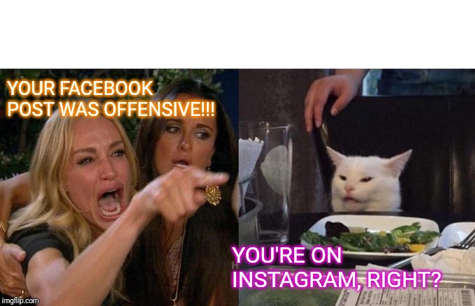 Woman Yelling At Cat | YOUR FACEBOOK POST WAS OFFENSIVE!!! YOU'RE ON INSTAGRAM, RIGHT? | image tagged in memes,woman yelling at cat | made w/ Imgflip meme maker