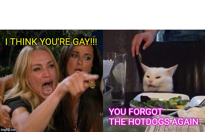 Woman Yelling At Cat | I THINK YOU'RE GAY!!! YOU FORGOT THE HOTDOGS AGAIN | image tagged in memes,woman yelling at cat | made w/ Imgflip meme maker