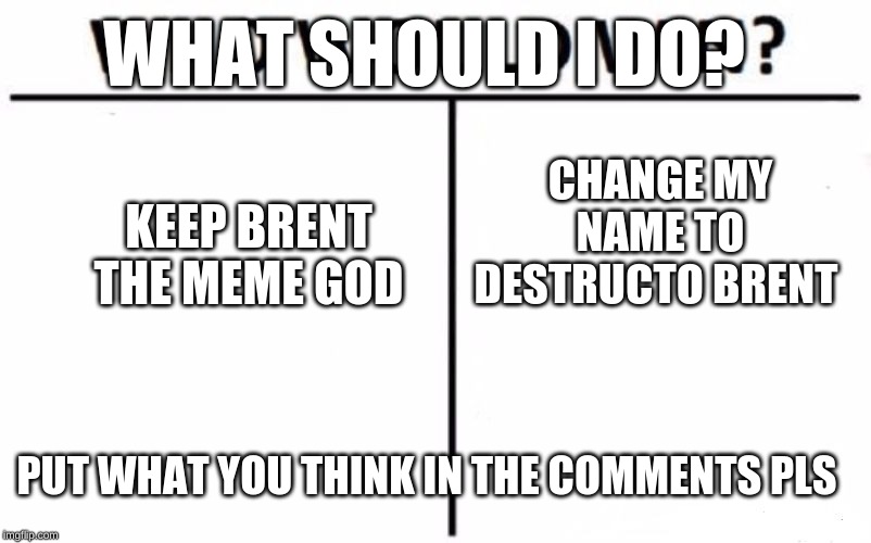 Who Would Win? Meme | WHAT SHOULD I DO? CHANGE MY NAME TO DESTRUCTO BRENT; KEEP BRENT THE MEME GOD; PUT WHAT YOU THINK IN THE COMMENTS PLS | image tagged in memes,who would win | made w/ Imgflip meme maker