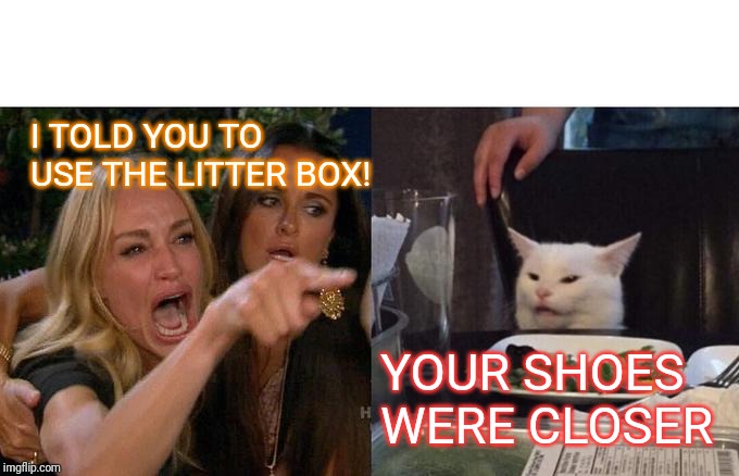 Woman Yelling At Cat | I TOLD YOU TO USE THE LITTER BOX! YOUR SHOES WERE CLOSER | image tagged in memes,woman yelling at cat | made w/ Imgflip meme maker