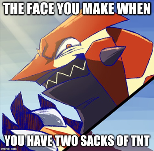 Minecraft but described with Pokemon. | THE FACE YOU MAKE WHEN; YOU HAVE TWO SACKS OF TNT | image tagged in that face you make when | made w/ Imgflip meme maker