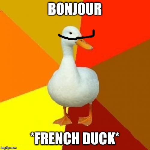 Tech Impaired Duck Meme | BONJOUR; *FRENCH DUCK* | image tagged in memes,tech impaired duck | made w/ Imgflip meme maker