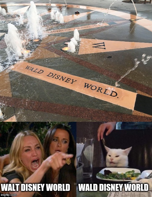 WALT DISNEY WORLD; WALD DISNEY WORLD | image tagged in memes,woman yelling at cat | made w/ Imgflip meme maker