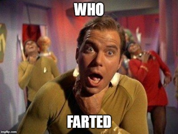Captain Kirk Choke | WHO; FARTED | image tagged in captain kirk choke | made w/ Imgflip meme maker