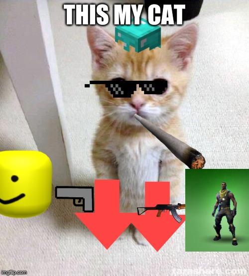 Cute Cat Meme | THIS MY CAT | image tagged in memes,cute cat | made w/ Imgflip meme maker
