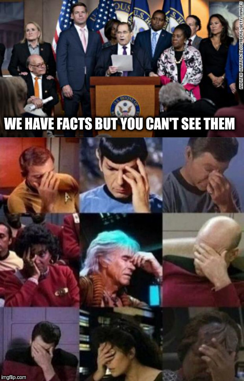 WE HAVE FACTS BUT YOU CAN'T SEE THEM | image tagged in star trek face palm | made w/ Imgflip meme maker