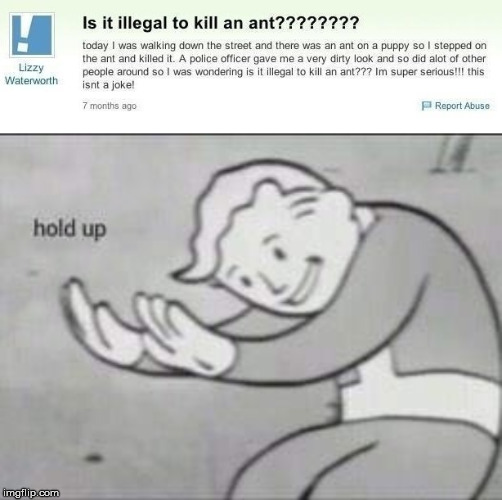 People are stupid. | image tagged in fallout hold up,stupid people | made w/ Imgflip meme maker