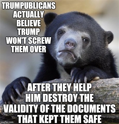 They Win We ALL Lose, "Meat".  If You Ever Cared About The Constitution You Damn Well Ought To Defend And Protect It Now | TRUMPUBLICANS ACTUALLY BELIEVE TRUMP WON'T SCREW THEM OVER; AFTER THEY HELP HIM DESTROY THE VALIDITY OF THE DOCUMENTS THAT KEPT THEM SAFE | image tagged in memes,confession bear,liars club,impeach trump,liar in chief,scumbag republicans | made w/ Imgflip meme maker
