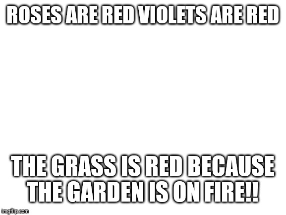 Blank White Template | ROSES ARE RED VIOLETS ARE RED; THE GRASS IS RED BECAUSE THE GARDEN IS ON FIRE!! | image tagged in blank white template | made w/ Imgflip meme maker