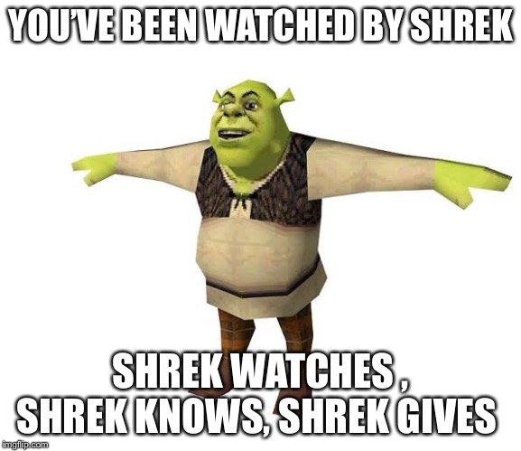 Shrek good year |  YOU’VE BEEN WATCHED BY SHREK; SHREK WATCHES , SHREK KNOWS, SHREK GIVES | image tagged in t pose,good luck | made w/ Imgflip meme maker